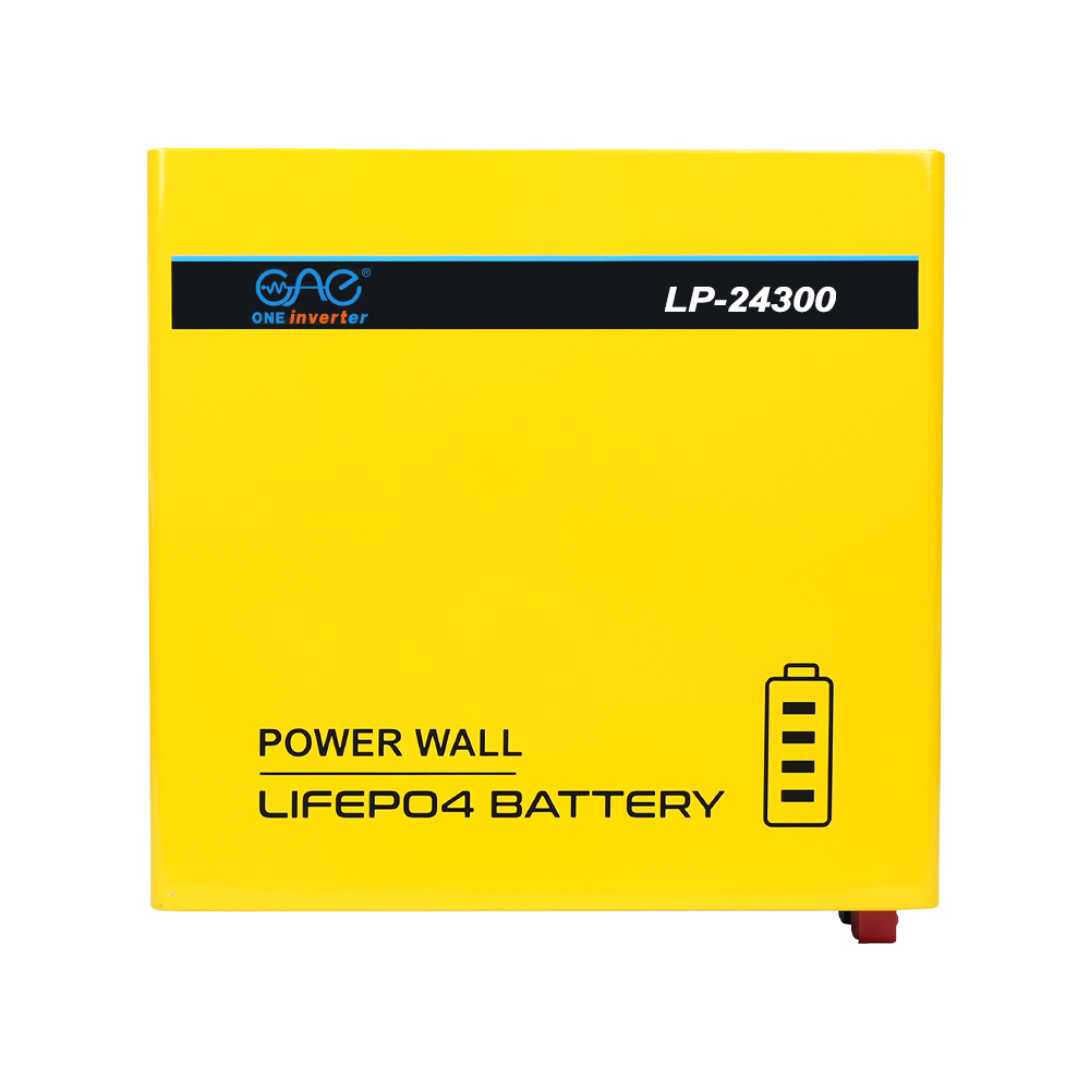 Energy Storage Lifepo4 Battery LP-24300